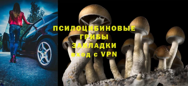 тгк Приозерск