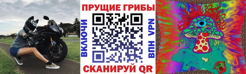 Псилоцибиновые грибы ЛСД  Белогорск 