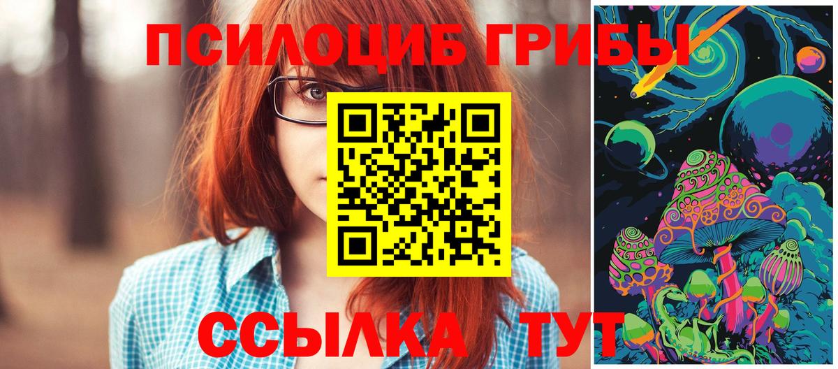 Псилоцибиновые грибы прущие грибы  Псилоцибиновые грибы мицелий  Белогорск 