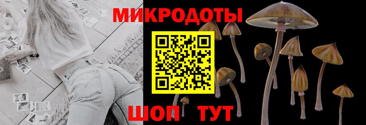 Белогорск  Галлюциногенные грибы мицелий  Вход с VPN 